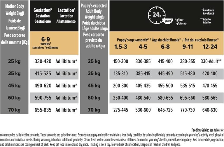71io-8ikXVL._AC_SL1500_