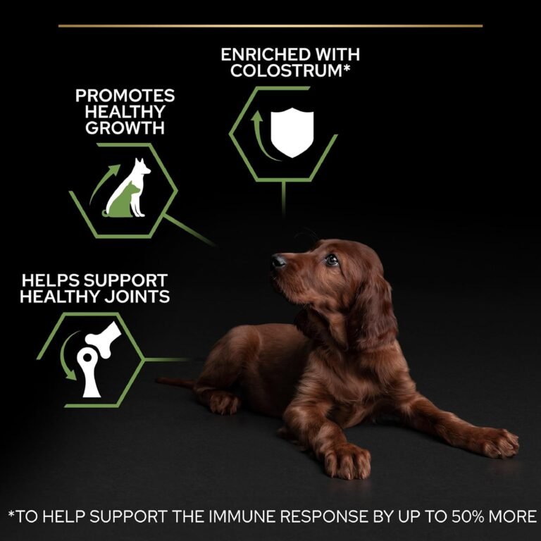 71tO5atMyOL._AC_SL1500_