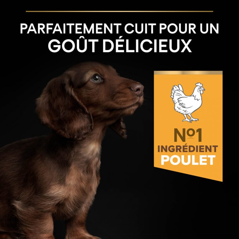 la_496b534ba68236ba543ae44b22bd110a1d61687270753