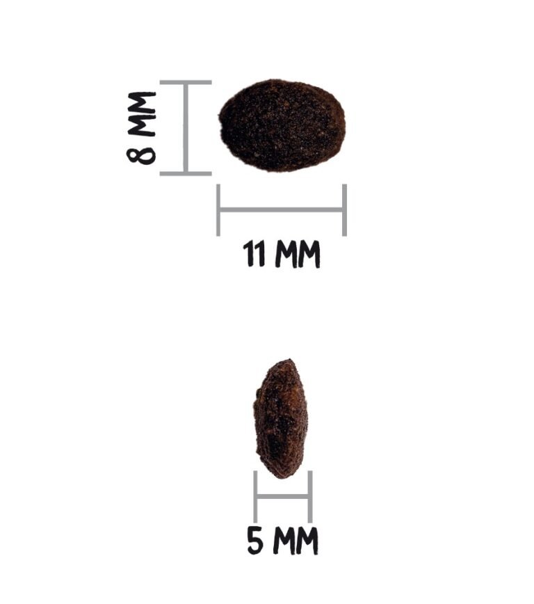 ow-grain-free-prime-hair-skin-care-croquetaadl