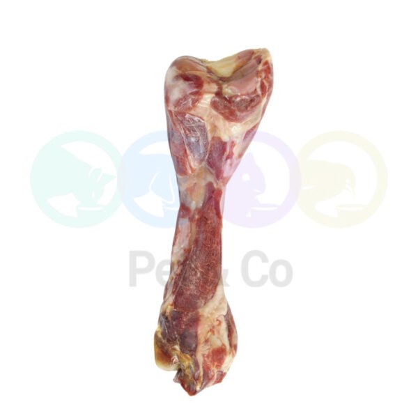 Ham bone Femur for Dogs Camon