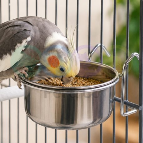 Parrot Stainless steel bowl with hook