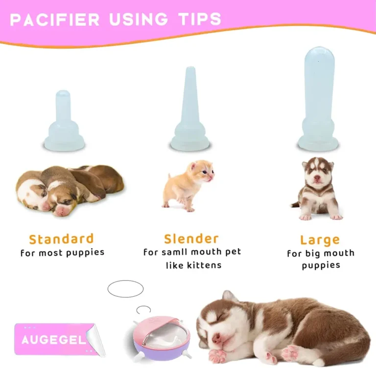 619eL06a2NL._AC_UF1000,1000_QL80_FMwebp_