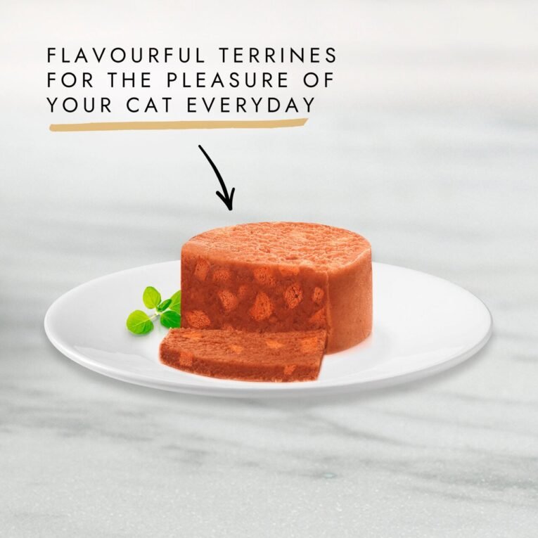 55011011_55011011_9_1716564645000_1280x1280