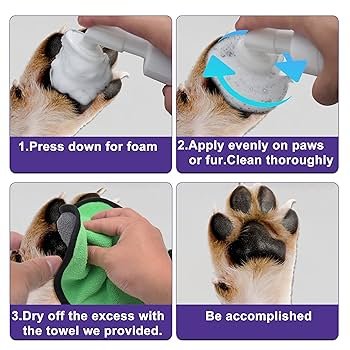 81GNFUcrGeL._UF350,350_QL80_