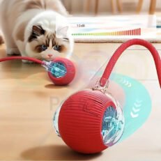 Cat Toy Self-Rolling Ball with Lights & Rope