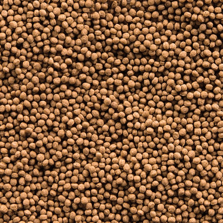 sera_Goldy_Gran_Nature_Detail