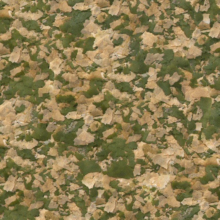 sera_Vipan_Nature-Detail