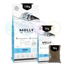 Molly Kibbles for Kittens with Chicken