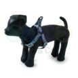 Harness & Leash Set for Dogs