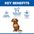 604255-above-the-fold-key-benefits.png.rendition.500.500
