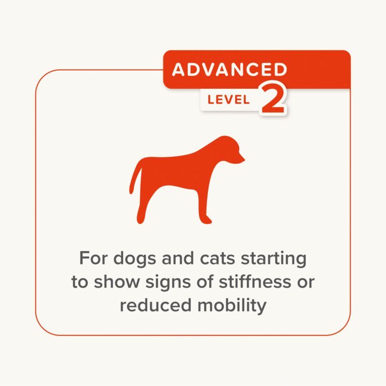 Ecommerce-Flexifit-Paste-7