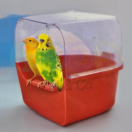 Beak's Care Bird Bath