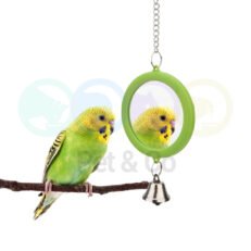 Beak's Bird Toy Round Double Side Mirror