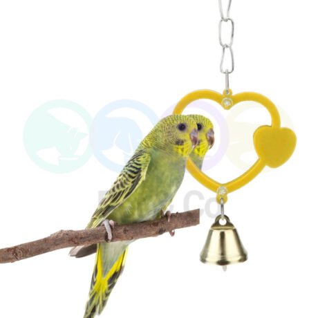 Beak's Bird Toy Heart Double Side Mirror