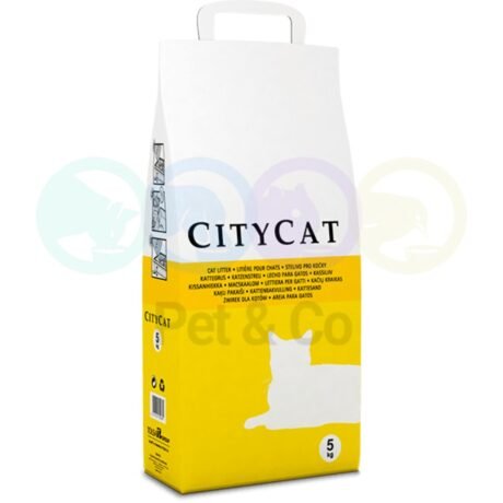 Citycat Economical Unscented Absorbant litter 5Kg