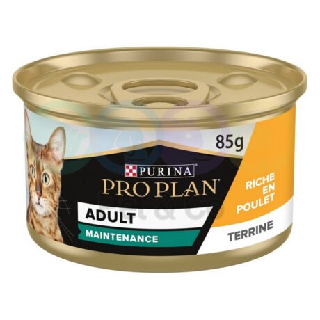 Pro Plan Terrine for Cats Maintenance with Chicken 85g