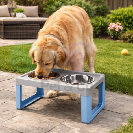 Lifter bowl lifter for Large Dogs 2×2L