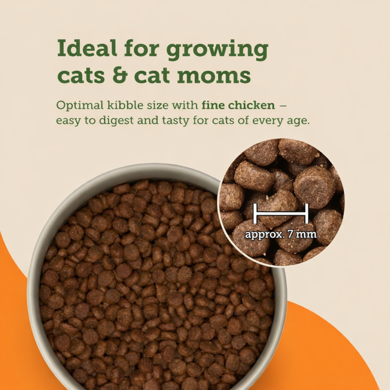 file_00000000e0c471f484ded9c97a30aa33