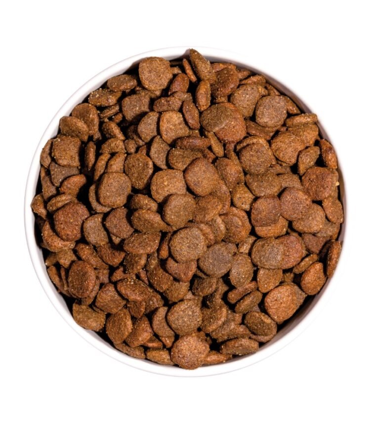 ow-ultra-mini-adult-platoadl