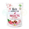 Brit Crunchy Snack Dogs Insects with Lamb 200g