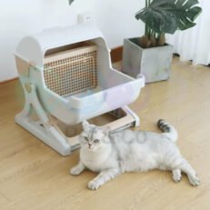 Cat litter box semi-automatic
