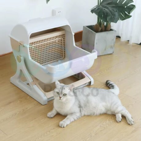 Cat litter box semi-automatic