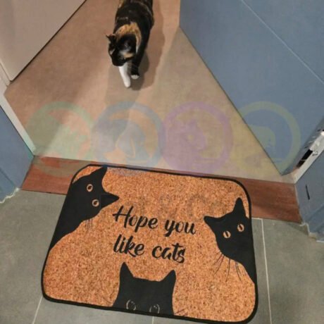 Doormat with Cats welcoming slogan 40×60cm