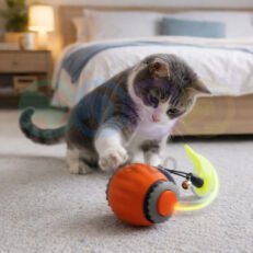 Cat Toy Self-Rolling Ball with Lights & Tail