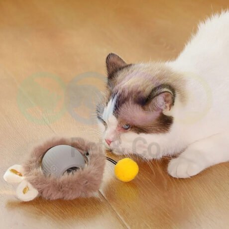 Cat Toy Self-Rolling Ball with Plush cover