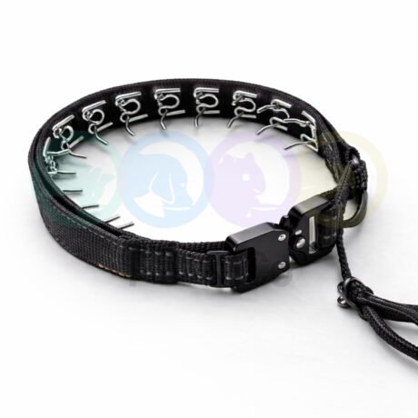 Prong Dog Training Collar with Quick-Release Buckle
