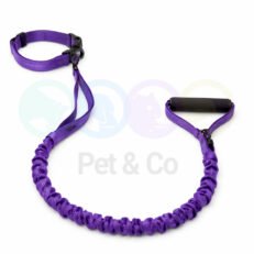 Dog Leash Shock-Absorbing Bungee with Padded Handle