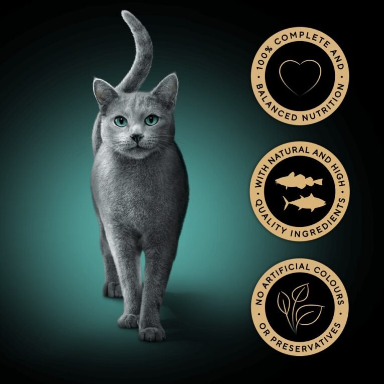 Internet_20260419_135739_3