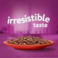 Whiskas Adult Wet Beef Favourites Gravy_Irresistible taste_0