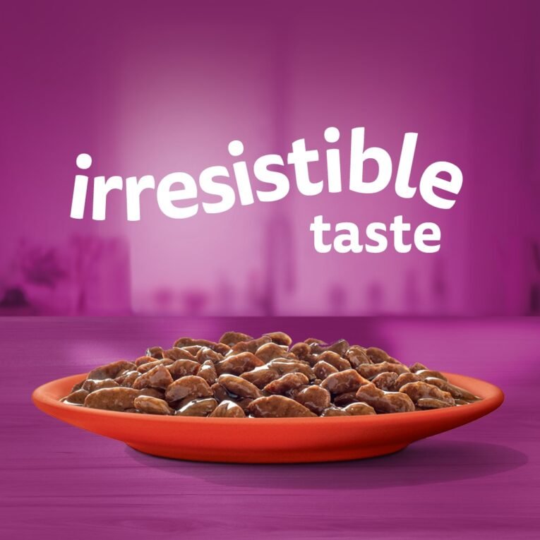 Whiskas Adult Wet Beef Favourites Gravy_Irresistible taste_0