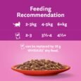 Whiskas Adult Wet Beef Favourites Jelly_feeding_0
