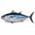 Tuna