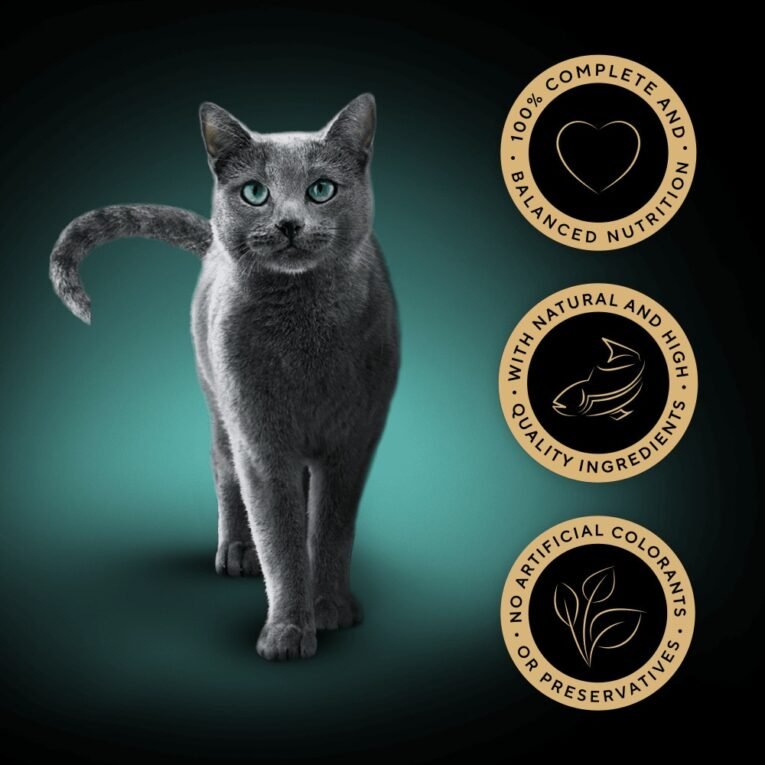 xo9lcs3wcba1b811zom8