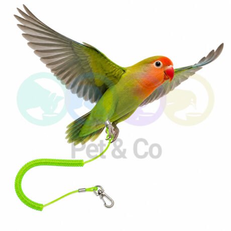 Bird Retractable Coiled Lanyard