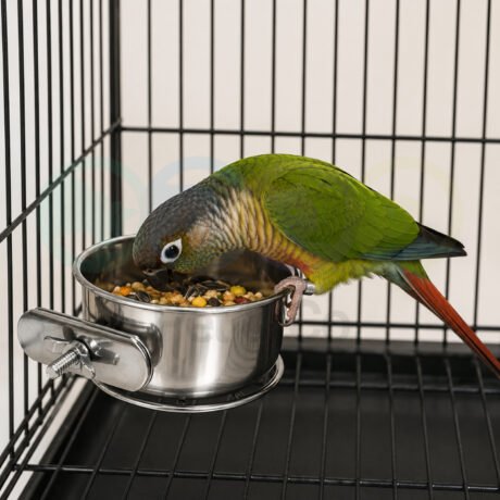 Bird Stainless steel bowl with attachment ring
