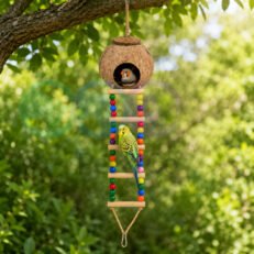 Coconut Bird Nest with Beaded Ladder Toy