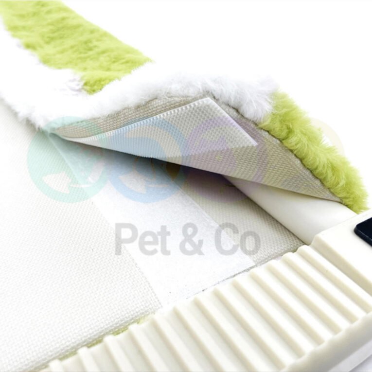 IMG_20260618_203658