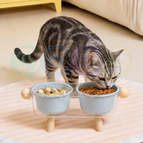 Elevated Detachable Double Bowl for Cats & Small Dogs