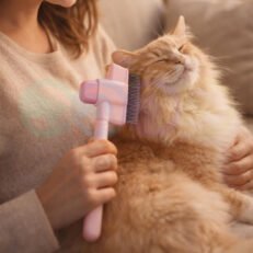 Self-Cleaning Pet Grooming Comb