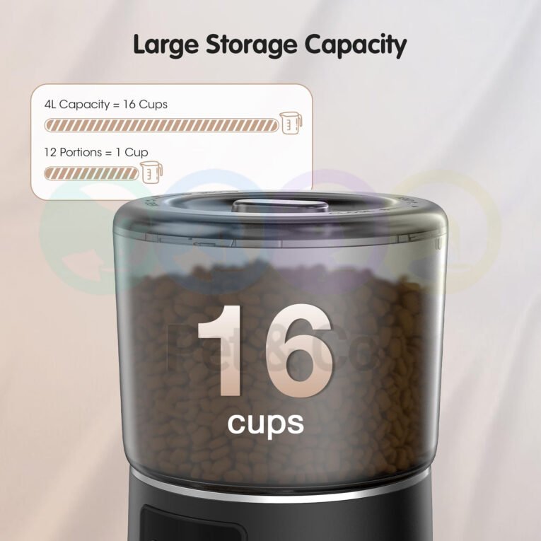IMG_20260627_201629