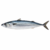 Mackerel