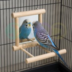 Bird Stand Perch with Mirror