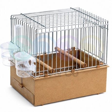 Birdsong Cage for Exposition 2GR