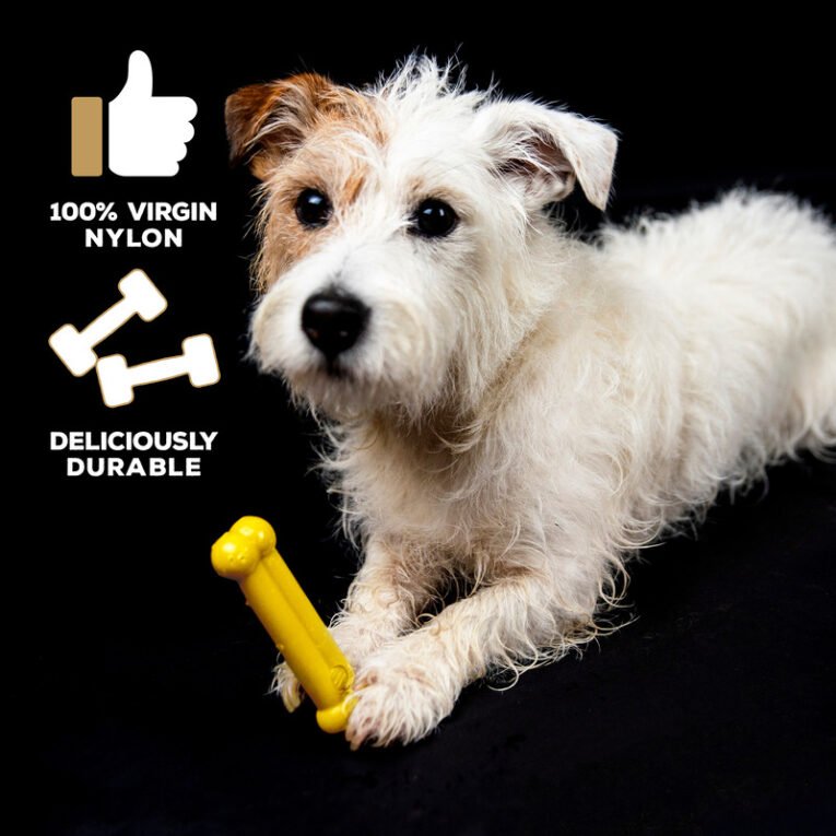 Chicken_Toy-Size3