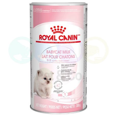 Royal Canin Milk Replacer for Kittens